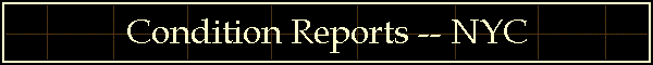 Condition Reports -- New York City bicycling