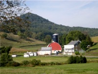 Hawk Mountain farms dream 1